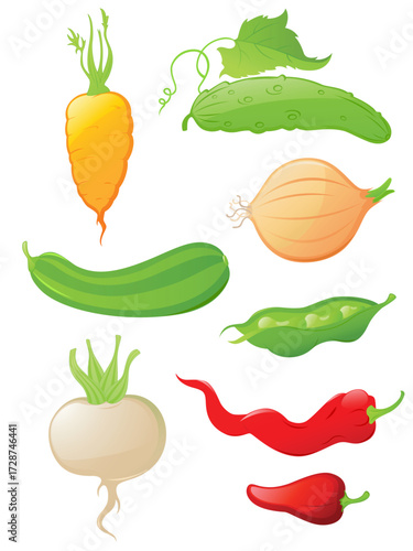A collection of fresh vegetables arranged against a white background