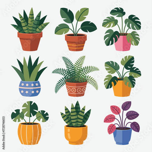 Assortment of stylized potted houseplants in decorative containers potted plant indoor plant