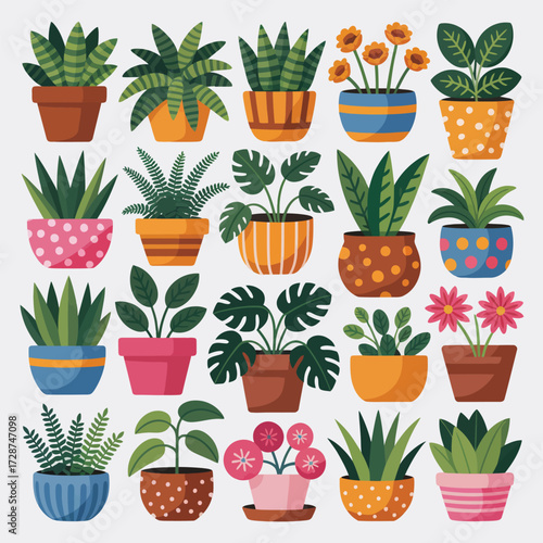 Collection of various potted houseplants in colorful decorative pots Keywords: potted plants, houseplants, indoor plants, green plants, foliage