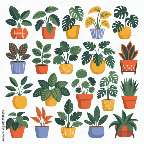 Collection of various potted houseplants in decorative planters potted plant indoor plant