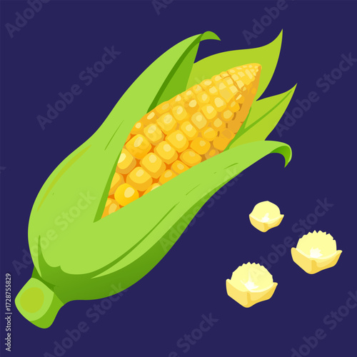 visual, stock, sparkle, smooth, rich, render, pop, lighting, isolate, glossy, detailed, colourful, clipping, clip art. Fresh corn on the cob with yellow kernels green sweet organic vegetable food.
