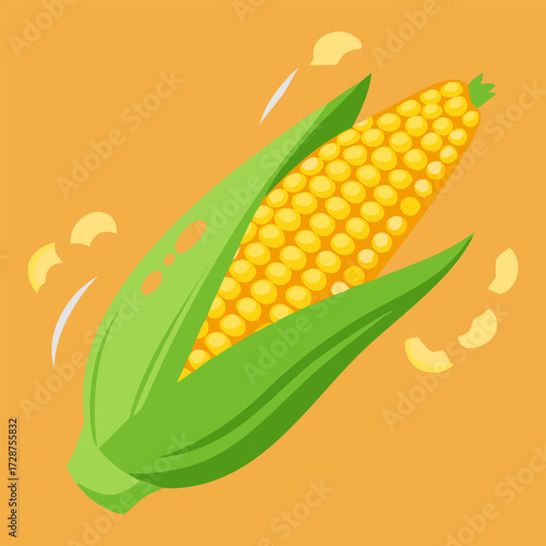 visual, stock, sparkle, smooth, rich, render, pop, lighting, isolate, glossy, detailed, colourful, clipping, clip art. Fresh corn on the cob with yellow kernels green sweet organic vegetable food.