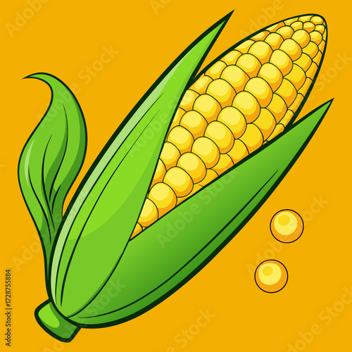 visual, stock, sparkle, smooth, rich, render, pop, lighting, isolate, glossy, detailed, colourful, clipping, clip art. Fresh corn on the cob with yellow kernels green sweet organic vegetable food.