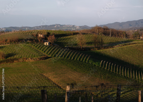 Foto scattata nelle colline attorno Tassarolo.