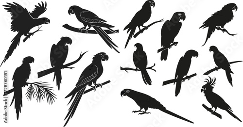 Black Line Parrot Icons Set including Flat Bird Animal Wildlife and Tropical Symbol Collection with Minimal Parrot Icon Group for UI Web Jungle Exotic Nature and Ornithology Design Projects