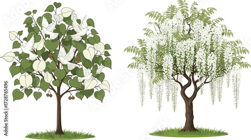 tree, foliage, blossom, seasonal, deciduous, flowering, ornamental, wisteria, dove, fruit, nature, landscape, vector, illustration, green, white, trunk, contrast, flora, comparison