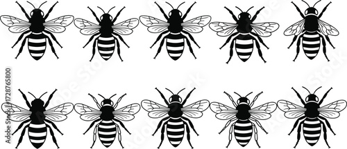 Black Silhouette Vector Set of Stylized Bees in Symmetrical Arrangement Featuring Wing Detail, Body Segments, and Pattern Recognition Elements