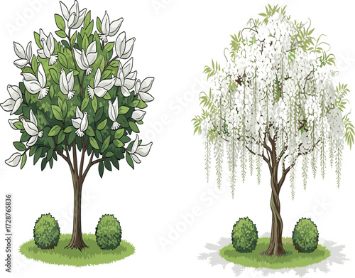 tree, foliage, blossom, seasonal, deciduous, flowering, ornamental, cascading, nature, landscape, vector, illustration, green, white, trunk, contrast, growth, design, flora, outdoor, comparison