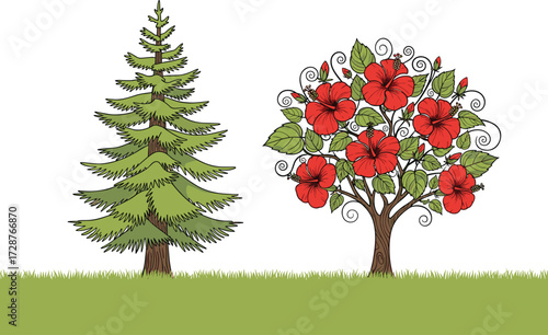 tree, foliage, blossom, seasonal, coniferous, evergreen, flowering, hibiscus, ornamental, nature, landscape, vector, illustration, green, red, trunk, contrast, growth, design, flora, comparison