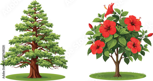 tree, foliage, blossom, seasonal, coniferous, evergreen, flowering, hibiscus, shrub, ornamental, nature, landscape, vector, illustration, green, red, trunk, contrast, flora, comparison