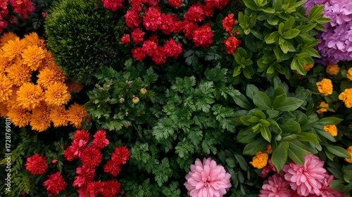 Vibrant Top View of Blooming Garden Filled with Colorful Flowers in a Beautiful Outdoor Space