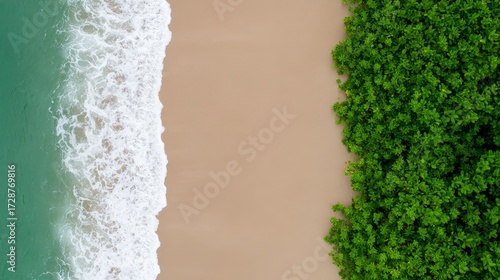 A Stunning Top View of a Beach Surrounded by Lush Natural Plants and Coastal Waves Resounding on Soft Sand