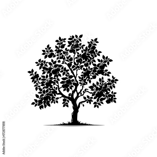 Apple Tree Vector Illustration – Fresh Orchard Fruit Design
