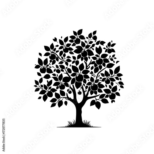 Apple Tree Vector – Natural Orchard with Fresh Ripe Apples