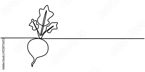Continuous one line drawing of beet root. One line drawing illustration of growing radish. Vegetable growing concept continuous line art. Editable outline. 