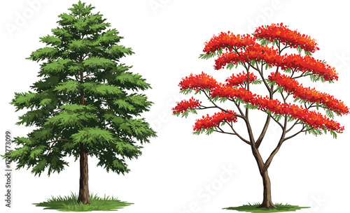 tree, foliage, blossom, seasonal, coniferous, deciduous, evergreen, flowering, nature, landscape, vector, illustration, green, red, trunk, contrast, growth, concept, design, flora, comparison
