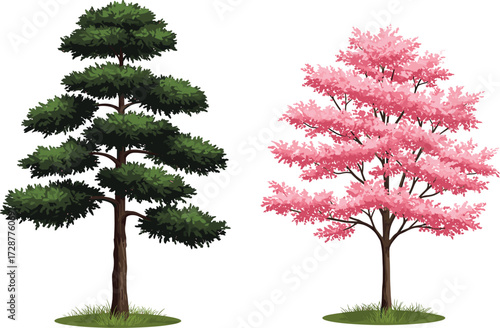 tree, foliage, blossom, seasonal, coniferous, deciduous, evergreen, flowering, nature, landscape, vector, illustration, green, pink, trunk, contrast, growth, concept, design, flora, comparison