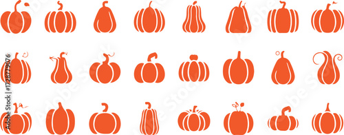 Pumpkin icon, Halloween pumpkin vector, Autumn pumpkin design, Pumpkin silhouette graphic, Farm pumpkin symbol, Harvest pumpkin clipart, Orange pumpkin illustration, Thanksgiving pumpkin logo, Fall pu