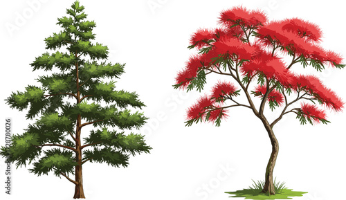 tree, foliage, blossom, seasonal, coniferous, deciduous, evergreen, ornamental, nature, landscape, vector, illustration, green, red, trunk, contrast, growth, concept, design, flora, comparison