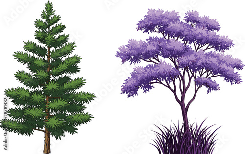 tree, foliage, blossom, seasonal, coniferous, deciduous, evergreen, ornamental, nature, landscape, vector, illustration, green, purple, trunk, contrast, growth, concept, design, flora, comparison