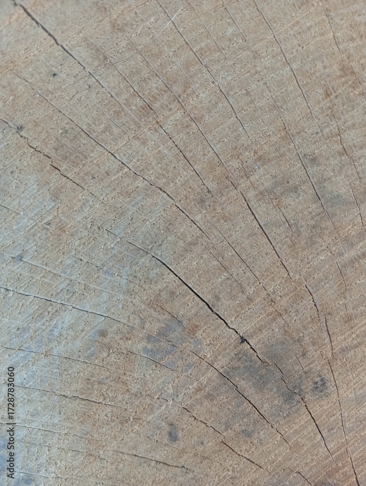 Fototapeta premium old wood texture