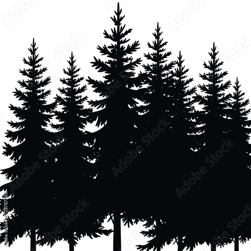 Silhouette Of A Forest With Evergreen Trees pine