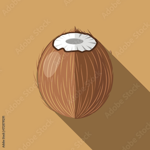 A stylized illustration of a coconut with a portion of the top shell removed, casting a long shadow.