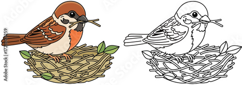 Cute Cartoon Sparrow Building Nest with Twig - Isolated Vector Illustration for Coloring Book