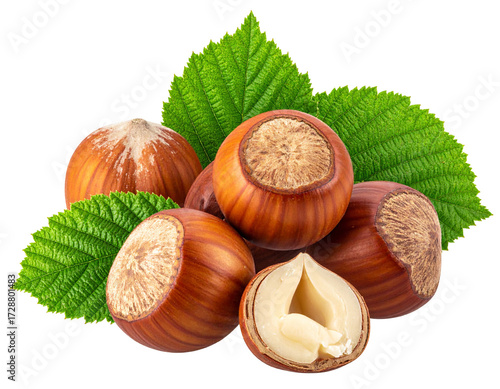 Hazelnuts with leaves (1)