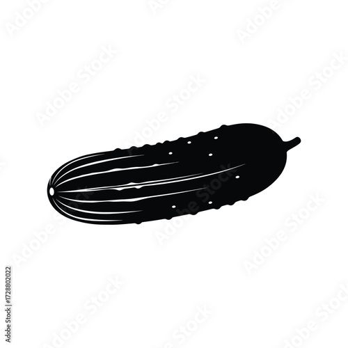 Vector art of black and white cucumber illustration