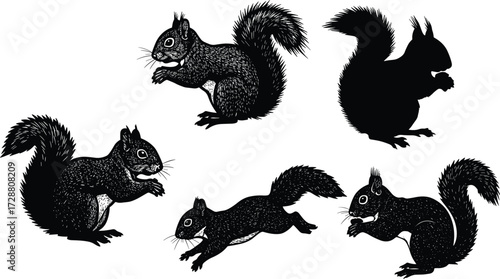 PrintSquirrel illustration, wildlife drawing, animal sketch, forest creature, rodent artwork, bushy tail, nature study, silhouette squirrel, leaping pose, detailed fur