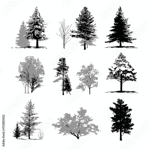 Silhouetted trees, some grey, some black, of various species arranged in a grid pattern
