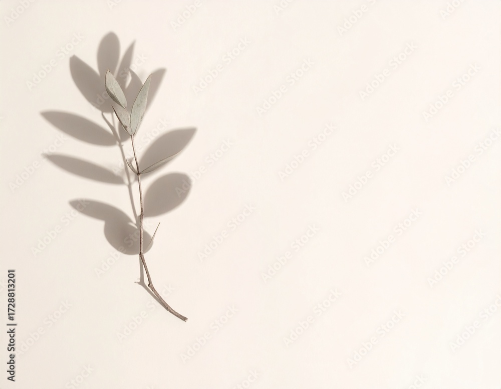 Obraz premium Minimalist pale background with soft shadow of leaf or branch diagonally cast