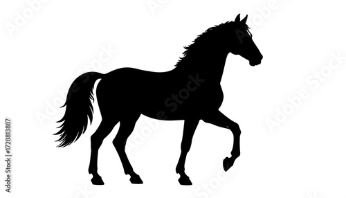 Black silhouette of a walking horse