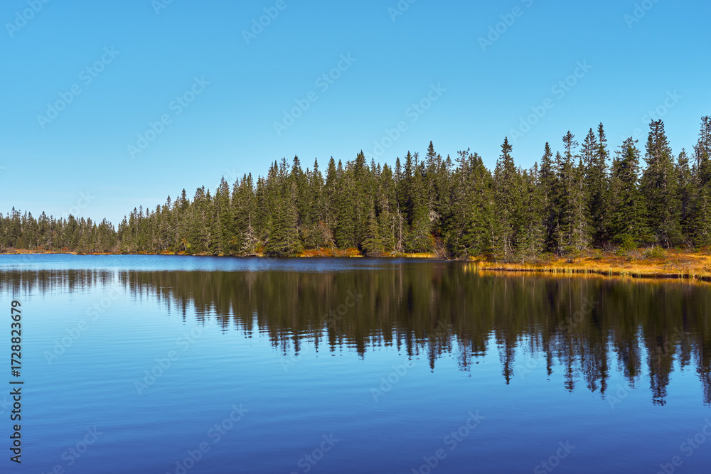 Fototapeta premium Vestre Ormtjernet Lake from the Svartdalstjerna Primeval Forest Nature Reserve of the Totenåsen Hills, Norway, in September 2025.