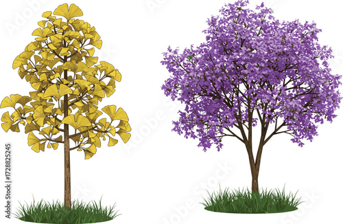 Tree comparison illustration, yellow fan-shaped leaf tree and purple blossom tree side by side, cad drawing flat vector illustration