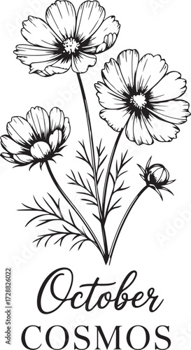 Month Of Birth Flower With Name