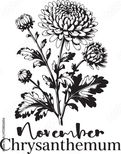 Month Of Birth Flower With Name