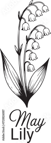 Month Of Birth Flower With Name