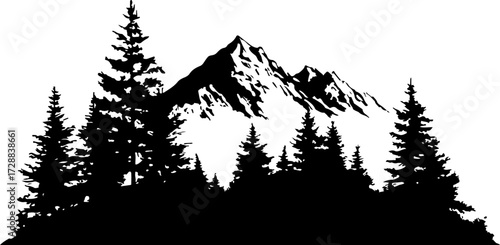 "Peaceful Mountain Forest"