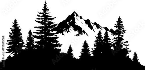 "Monochrome Wilderness"