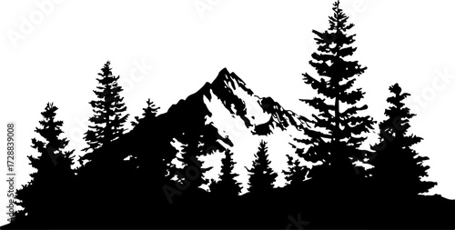 "Monochrome Wilderness"