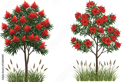plant, flower, blossom, seasonal, nature, landscape, vector, illustration, red, foliage, contrast, growth, concept, design, spring, flora, outdoor, environment, comparison, decorative, botanical