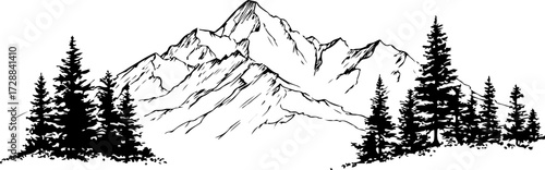 "Monochrome Wilderness"