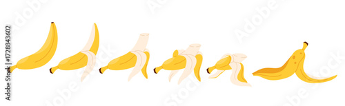 Eaten banana set of animation sequence. Stages of bites, bitten yellow tropical fruit with peel from whole to half and trash skin, banana pieces disappear when eating cartoon vector illustration
