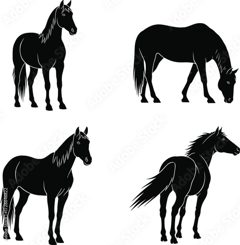 Horse silhouette vector illustration, grazing and standing poses, black animal icon set, equine posture collection, editable clipart for design, farm, wildlife, nature