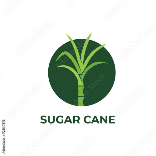 sugarcane vector green plant logo