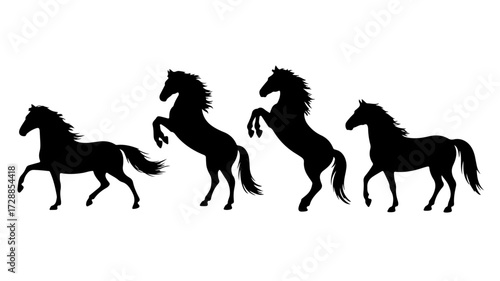 "Silhouettes of Strength"