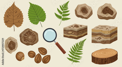 Paleontology illustration with plant fossils rock crosssections and magnifying glass