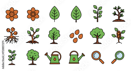 Row icons of plant growth stages seeds tools and magnifying glasses